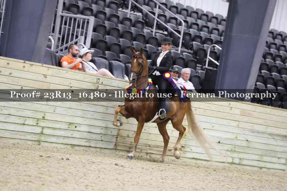 Proof 23R13_16480