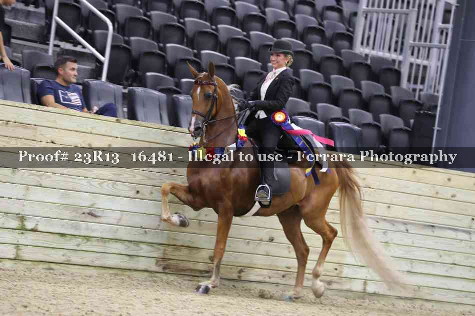 Proof 23R13_16481