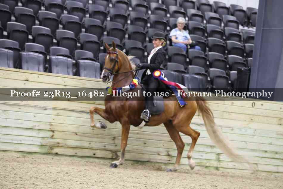 Proof 23R13_16482