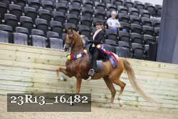 23R13_16482 proof