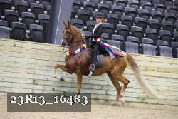 23R13_16483 proof