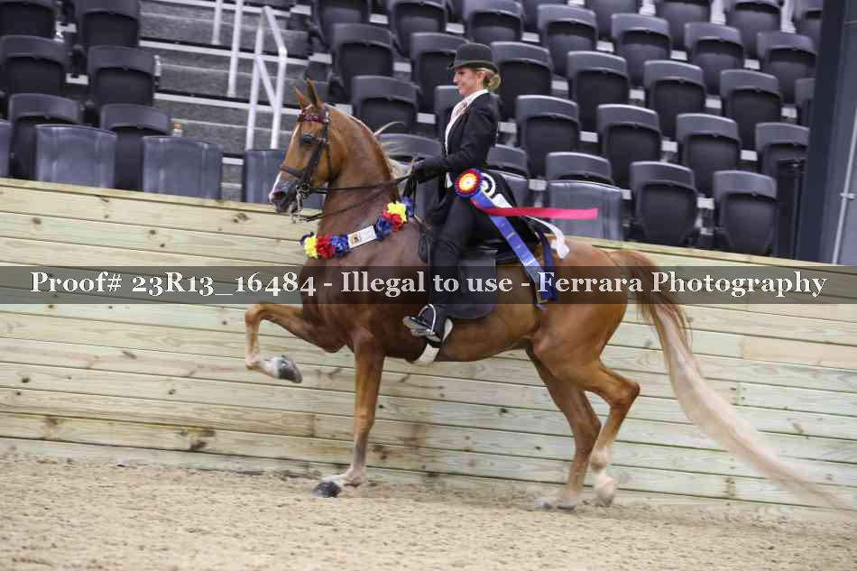 Proof 23R13_16484