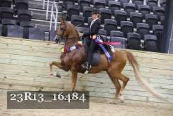 23R13_16484 proof