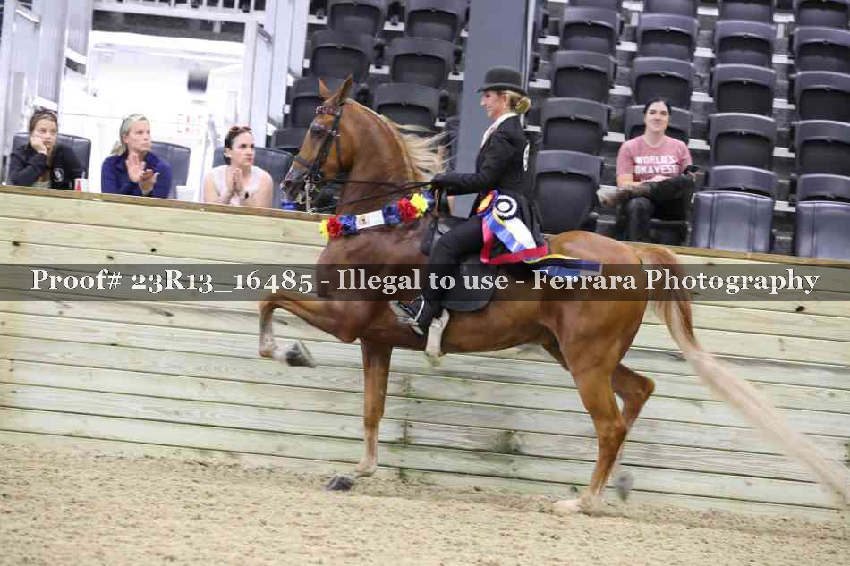 Proof 23R13_16485