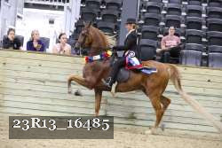 23R13_16485 proof