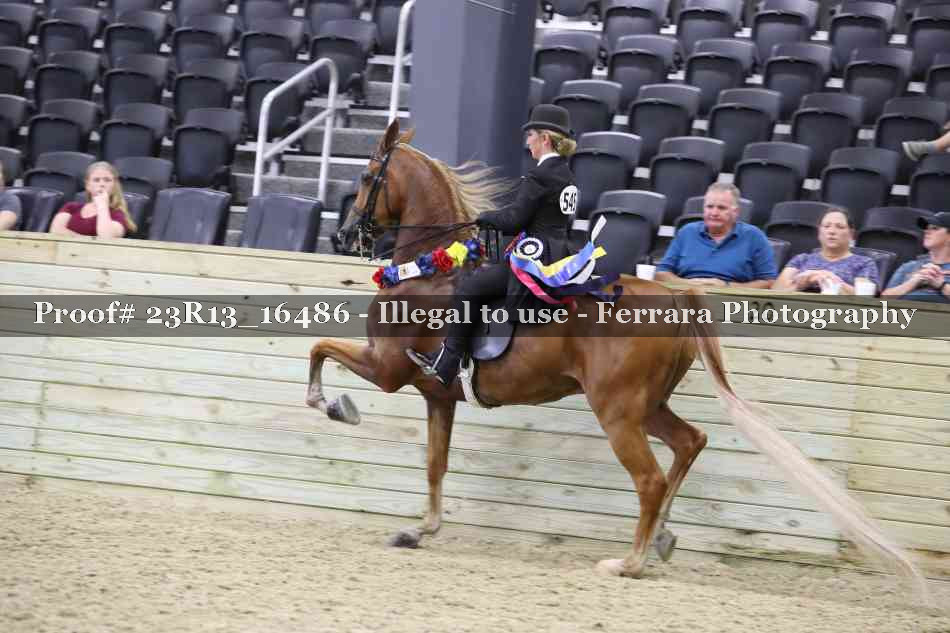 Proof 23R13_16486