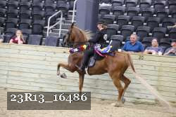 23R13_16486 proof