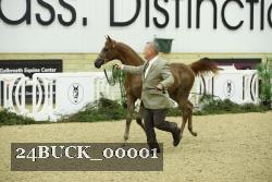 24BUCK_00001 proof