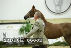 24BUCK_00002 proof