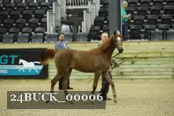 24BUCK_00006 proof