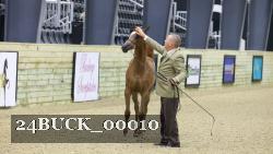 24BUCK_00010 proof