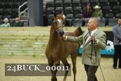 24BUCK_00011 proof