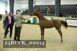 24BUCK_00014 proof