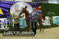 24BUCK_00019 proof