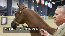 24BUCK_00026 proof