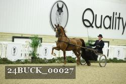 24BUCK_00027 proof