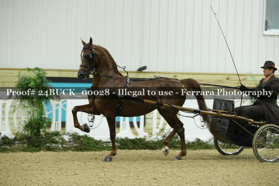 Proof 24BUCK_00028