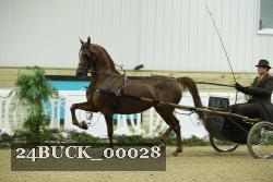 24BUCK_00028 proof