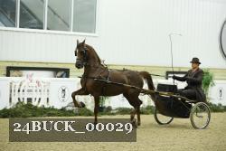 24BUCK_00029 proof