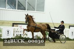 24BUCK_00030 proof