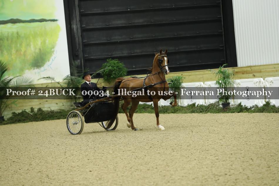 Proof 24BUCK_00034