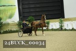 24BUCK_00034 proof