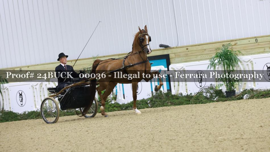 Proof 24BUCK_00036