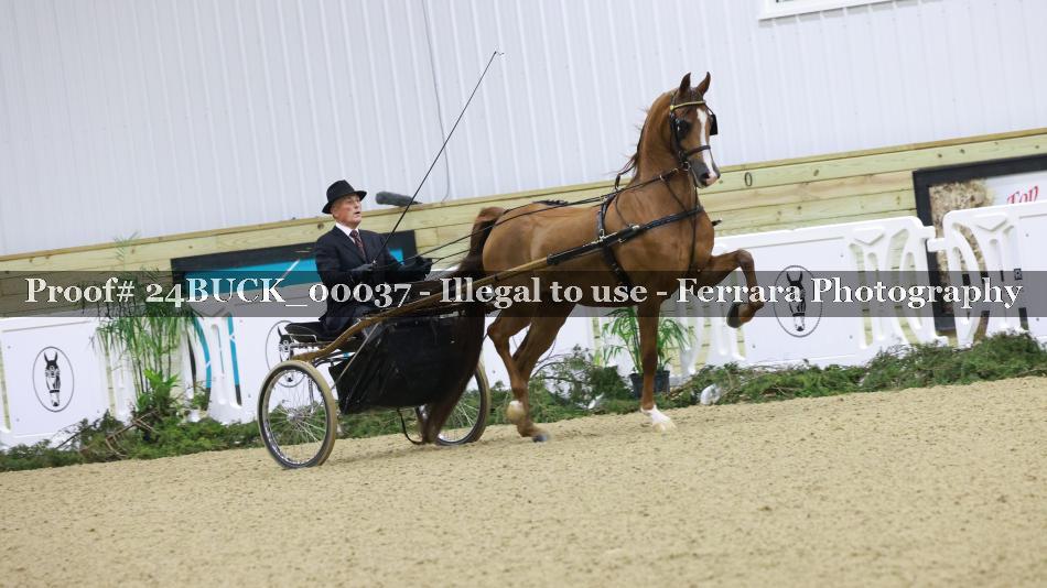 Proof 24BUCK_00037
