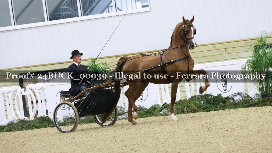 Proof 24BUCK_00039