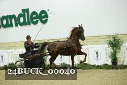 24BUCK_00040 proof