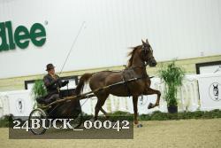 24BUCK_00042 proof