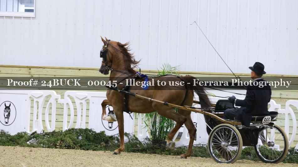 Proof 24BUCK_00045