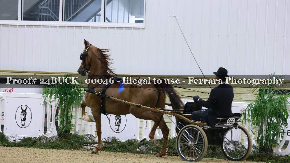 Proof 24BUCK_00046