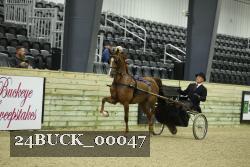 24BUCK_00047 proof