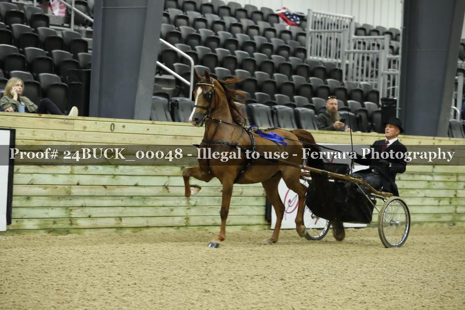 Proof 24BUCK_00048