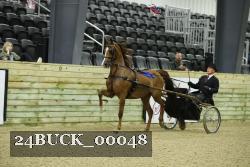 24BUCK_00048 proof