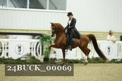 24BUCK_00069 proof