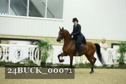 24BUCK_00071 proof