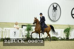 24BUCK_00072 proof