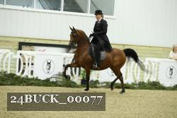 24BUCK_00077 proof