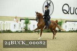 24BUCK_00082 proof