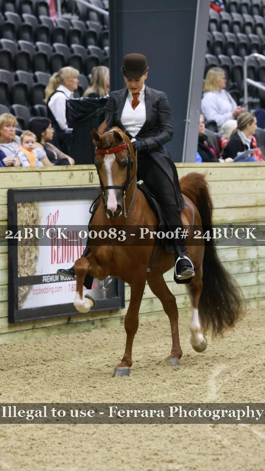 Proof 24BUCK_00083