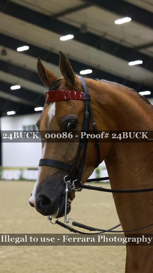 Proof 24BUCK_00086