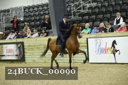 24BUCK_00090 proof