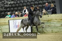 24BUCK_00091 proof