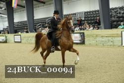 24BUCK_00094 proof
