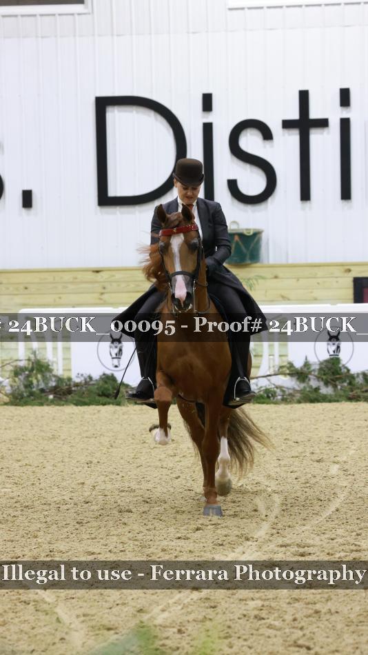 Proof 24BUCK_00095