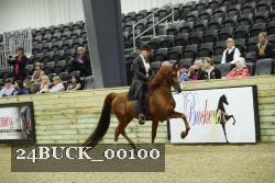 24BUCK_00100 proof