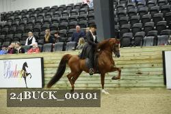 24BUCK_00101 proof