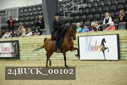 24BUCK_00102 proof